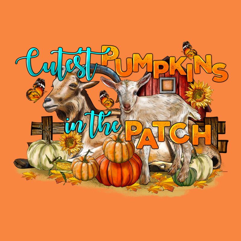 Cutest Pumpkin In The Patch Premium Sweatshirt by LillyAllenDesigns | Teevron