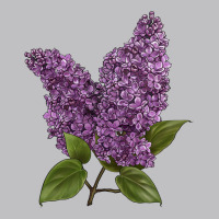 Purple Lilac Flower Illustrations Long Sleeve Tee | Teevron