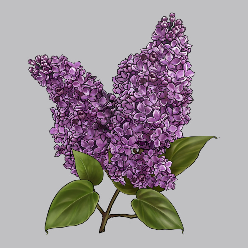 Purple Lilac Flower Illustrations Long Sleeve Tee by LillyAllenDesigns | Teevron