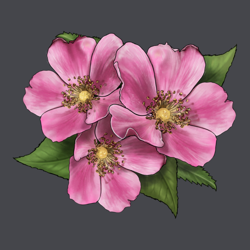 Wild Prairie Rose Illustrations Long Sleeve Tee by LillyAllenDesigns | Teevron