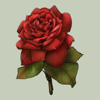 Oklahoma Rose Illustrations Long Sleeve Tee | Teevron