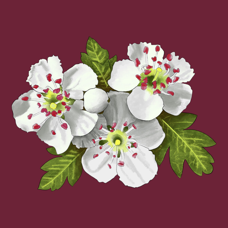 Hawthorn Flower Illustrations Long Sleeve Tee by LillyAllenDesigns | Teevron