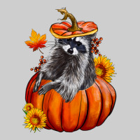 Fall Pumpkin Raccoon Premium Sweatshirt | Teevron