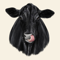 Black Angus Vintage Tee | Teevron