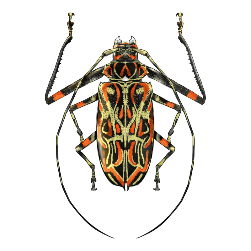 Acrocinus Beetle Illustrations Long Sleeve Tee by LillyAllenDesigns | Teevron