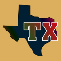 Texas Premium Hoodie | Teevron