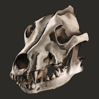 Wolf Skull Heavy Core Tee | Teevron