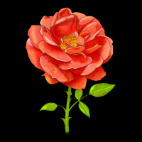 All A Twitter Rose Premium Sweatshirt | Teevron