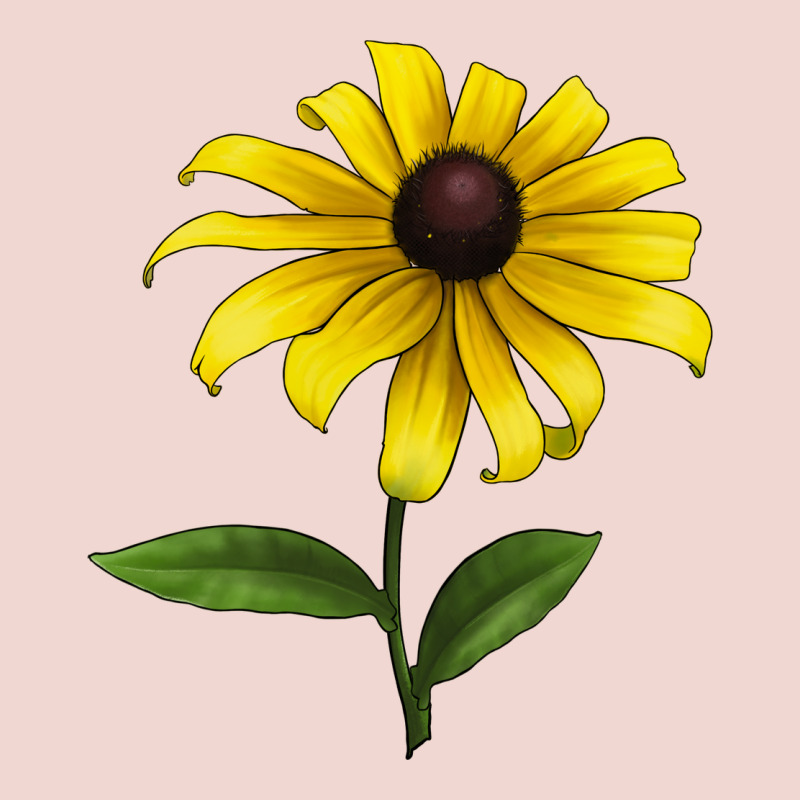 Black Eyed Susan Flower Premium Sweatshirt by LillyAllenDesigns | Teevron