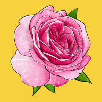 All Dressed Up Rose Premium Sweatshirt | Teevron