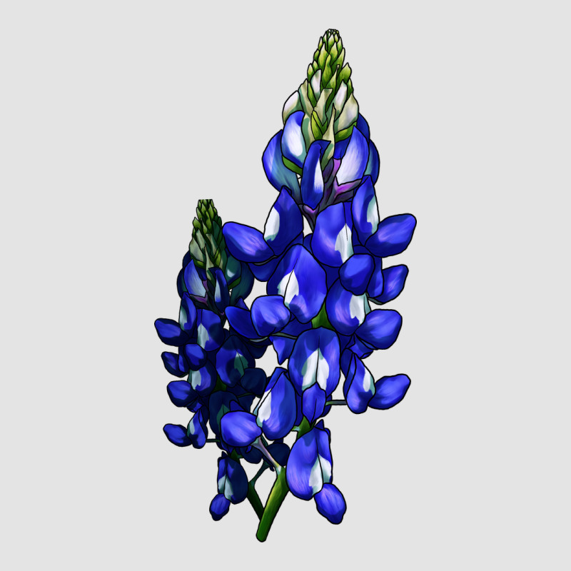 Bluebonnet Flower Premium Sweatshirt by LillyAllenDesigns | Teevron