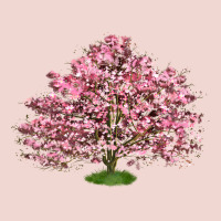 Flowering Dogwood Tree Premium Sweatshirt | Teevron