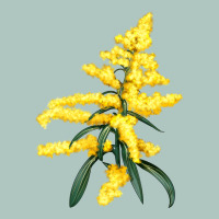 Botanical Goldenrod Premium Sweatshirt | Teevron