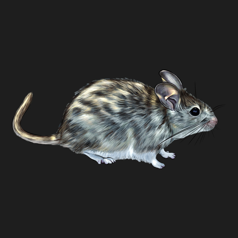 Packrat Aka, Woodrat Heavyweight Hoodie by LillyAllenDesigns | Teevron