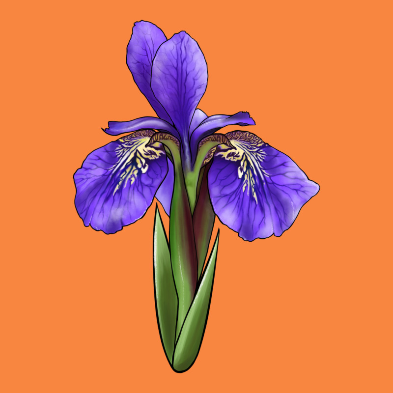 Iris Flower Premium Sweatshirt by LillyAllenDesigns | Teevron