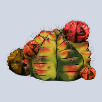 Gymnocalycium Variegated Cactus Premium Sweatshirt | Teevron