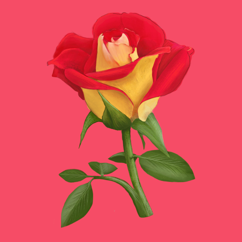 Ketchup And Mustard Rose Premium Sweatshirt by LillyAllenDesigns | Teevron