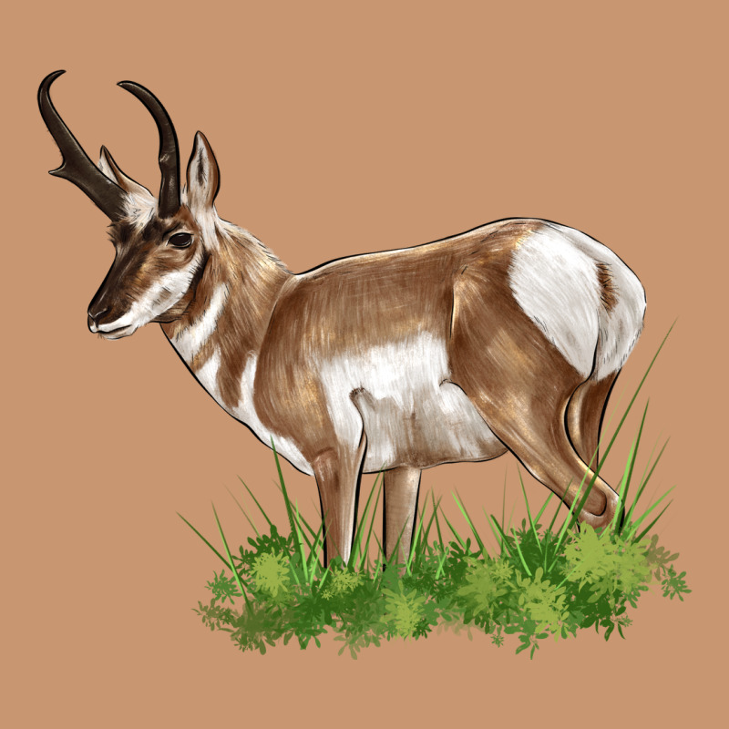 Pronghorn Heavyweight Hoodie by LillyAllenDesigns | Teevron