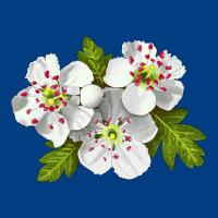 Hawthorn Flower Premium Sweatshirt | Teevron