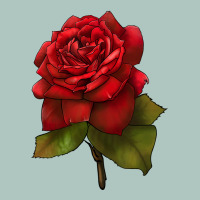 Oklahoma Rose Illustrations Premium Sweatshirt | Teevron