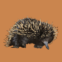 Short Beaked Echidna Heavyweight Hoodie | Teevron
