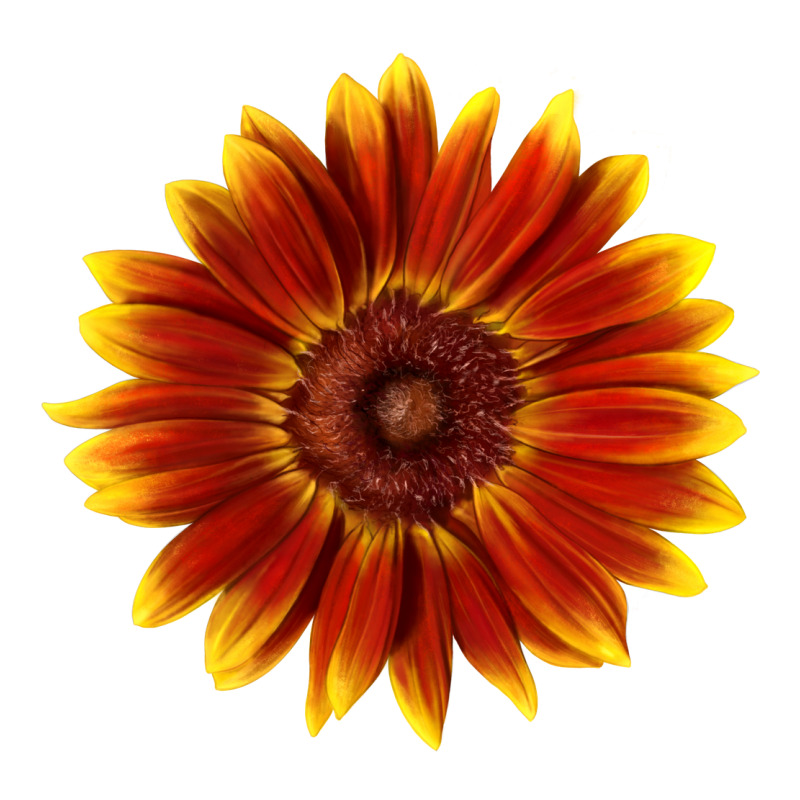 Little Becka Sunflower Premium Sweatshirt by LillyAllenDesigns | Teevron