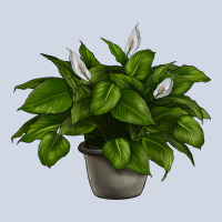 Peace Lily Premium Sweatshirt | Teevron