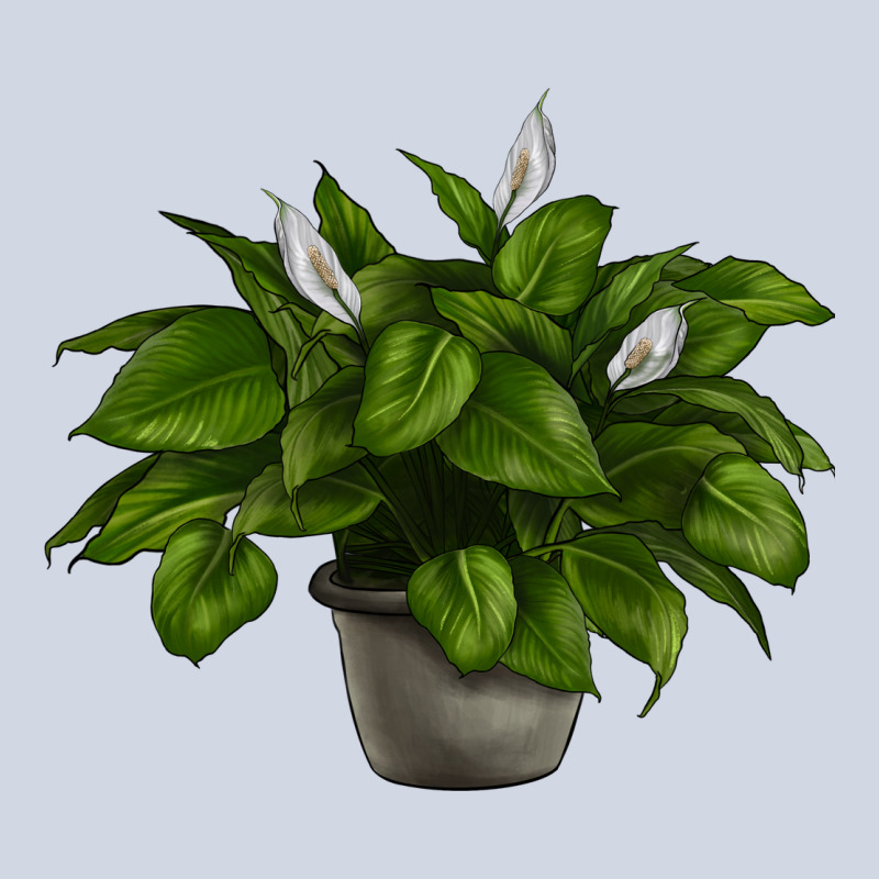 Peace Lily Premium Sweatshirt by LillyAllenDesigns | Teevron