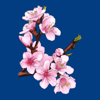 Peach Blossom Illustrations Premium Sweatshirt | Teevron