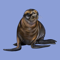 Sea Lion Illustrations Long Sleeve Tee | Teevron