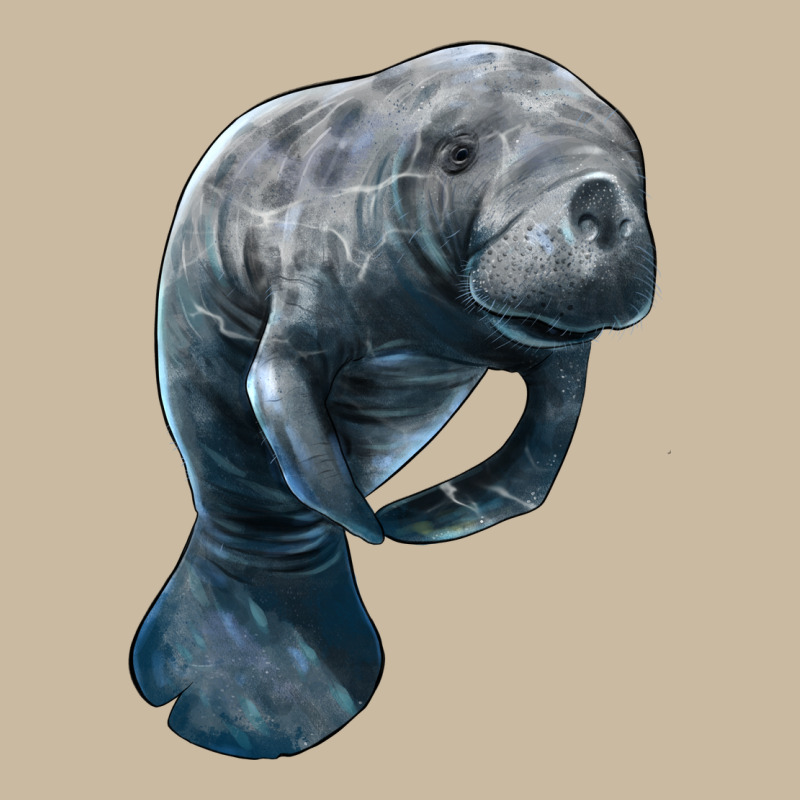 Manatee Illustrations Long Sleeve Tee by LillyAllenDesigns | Teevron