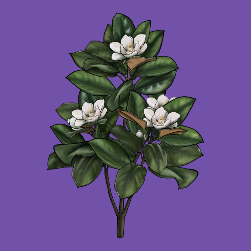 Magnolia Flower Illustrations Premium Sweatshirt by LillyAllenDesigns | Teevron