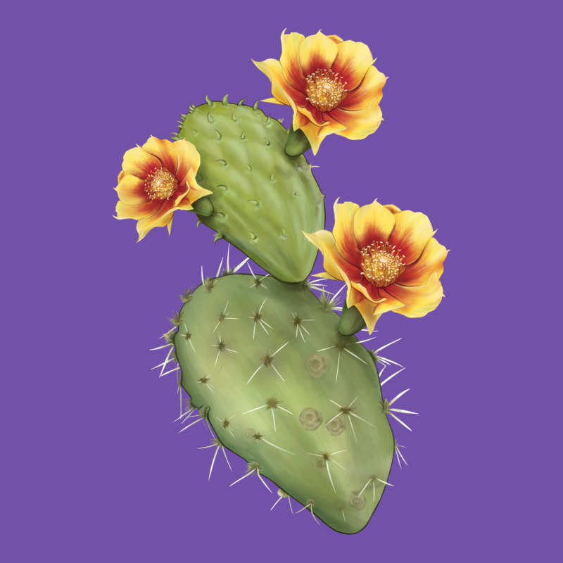 Opuntia Phaeacantha Cactus Premium Sweatshirt by LillyAllenDesigns | Teevron