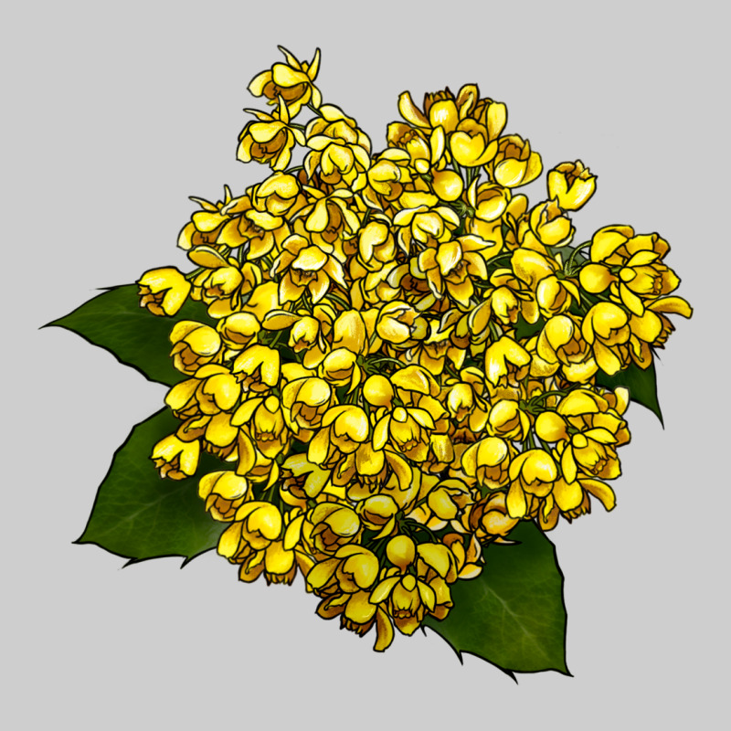 Oregon Grape Flower Illustrations Premium Sweatshirt by LillyAllenDesigns | Teevron