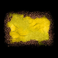 Gemstone Yellow Leopard Background Heavyweight Sweatshirt | Teevron