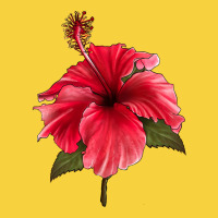 Puerto Rican Hibiscus Flower Premium Sweatshirt | Teevron
