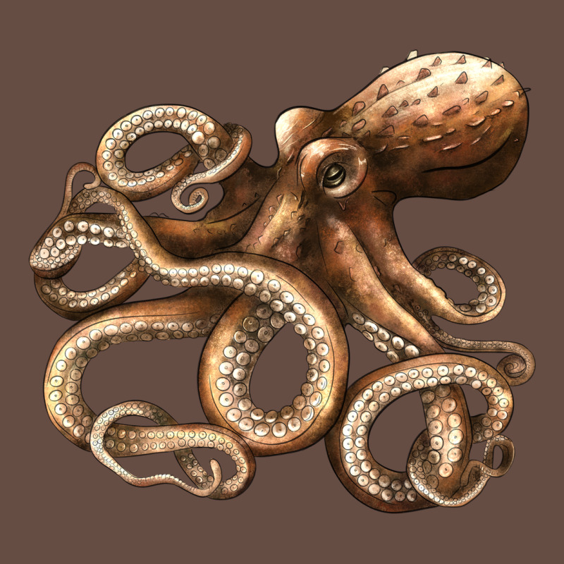 Octopus Long Sleeve Tee by LillyAllenDesigns | Teevron