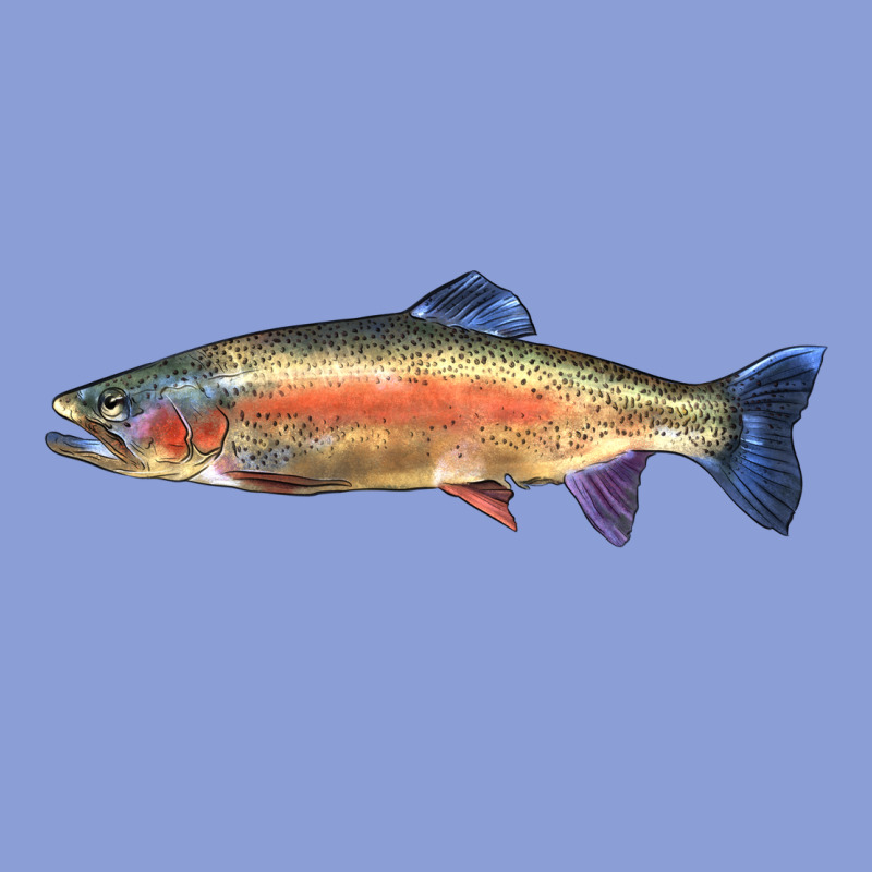 Rainbow Trout Long Sleeve Tee by LillyAllenDesigns | Teevron