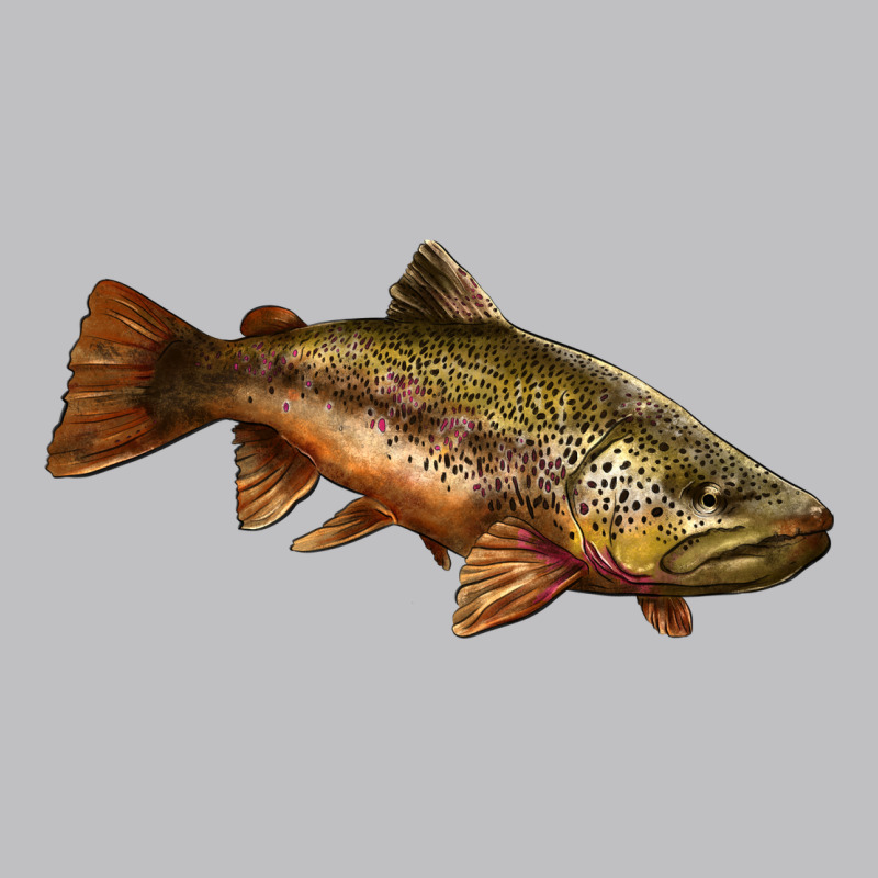 Brown Trout Long Sleeve Tee by LillyAllenDesigns | Teevron