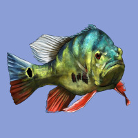 Peacock Bass Illustrations Long Sleeve Tee | Teevron