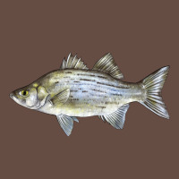 White Bass Fish Illustrations Long Sleeve Tee | Teevron