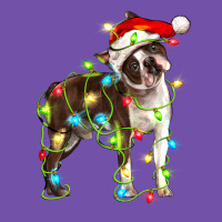 Christmas Chocolate Boston Terrier Premium Sweatshirt | Teevron