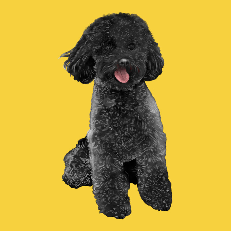 Black Poodles Dog Premium Sweatshirt by LillyAllenDesigns | Teevron