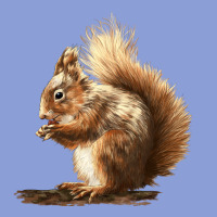 Squirrels Long Sleeve Tee | Teevron