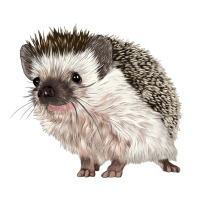 Hedgehog Illustrations Long Sleeve Tee | Teevron