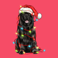 Christmas Newfoundland Dog Premium Sweatshirt | Teevron