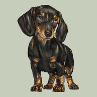 Dachshund Long Sleeve Tee | Teevron