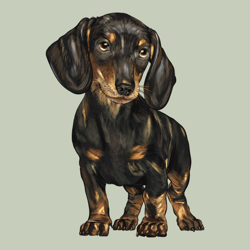 Dachshund Long Sleeve Tee by BarkalooDesign | Teevron