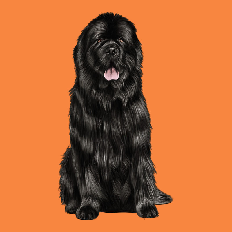 Newfoundland Dog Premium Sweatshirt by LillyAllenDesigns | Teevron