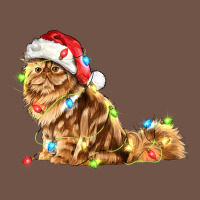 Christmas Persian Cat Premium Sweatshirt | Teevron
